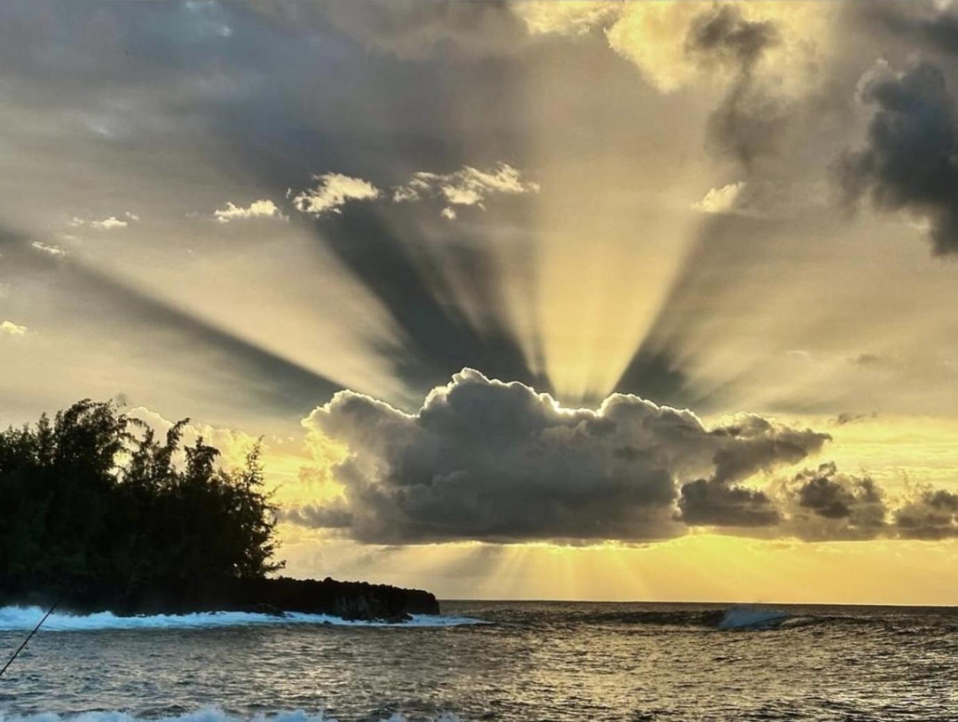 Tropical Zen Bungalow Pahoa Екстер'єр фото